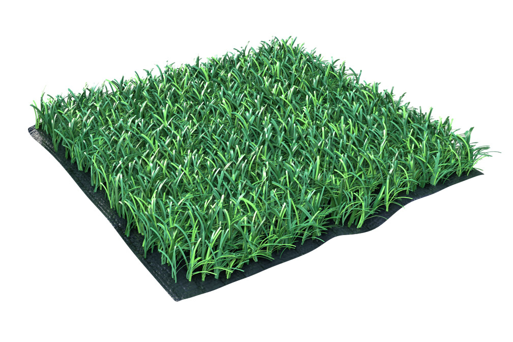 Искусственая трава 40мм монофиламентная 8800 PE ИП-9